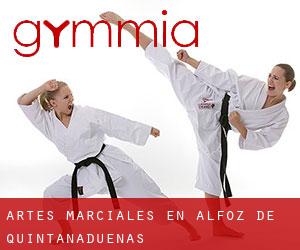 Artes marciales en Alfoz de Quintanadueñas