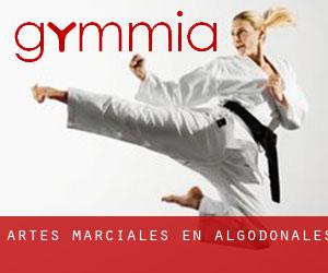 Artes marciales en Algodonales Artes marciales en Algodonales