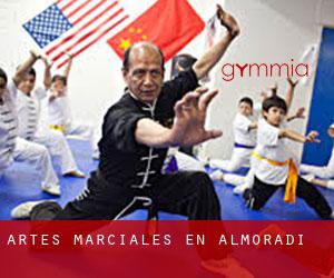 Artes marciales en Almoradí