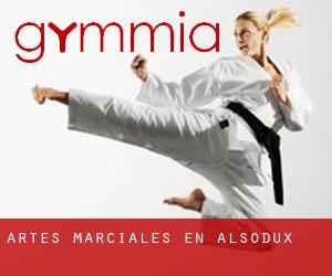 Artes marciales en Alsodux