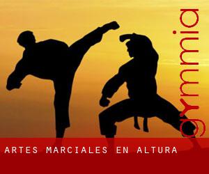 Artes marciales en Altura