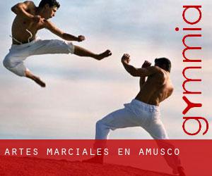Artes marciales en Amusco