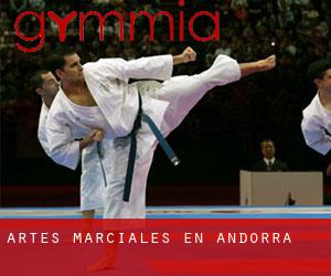 Artes marciales en Andorra