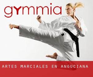Artes marciales en Anguciana