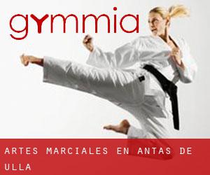 Artes marciales en Antas de Ulla