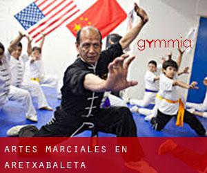 Artes marciales en Aretxabaleta