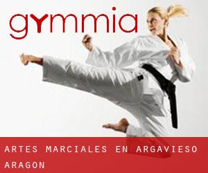 Artes marciales en Argavieso (Aragón)