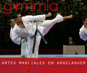 Artes marciales en Argelaguer