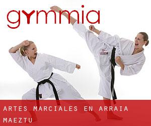 Artes marciales en Arraia-Maeztu