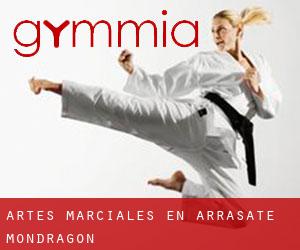 Artes marciales en Arrasate / Mondragón