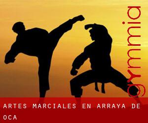 Artes marciales en Arraya de Oca