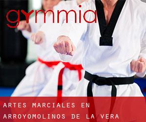 Artes marciales en Arroyomolinos de la Vera