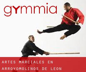 Artes marciales en Arroyomolinos de León