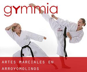 Artes marciales en Arroyomolinos