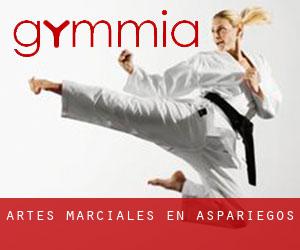 Artes marciales en Aspariegos
