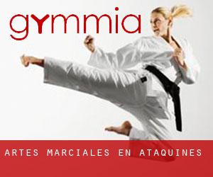 Artes marciales en Ataquines