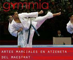 Artes marciales en Atzeneta del Maestrat