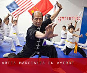 Artes marciales en Ayerbe