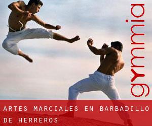 Artes marciales en Barbadillo de Herreros