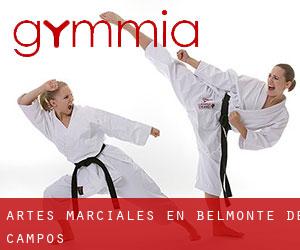 Artes marciales en Belmonte de Campos