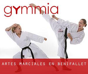 Artes marciales en Benifallet