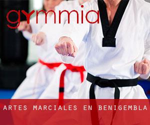 Artes marciales en Benigembla