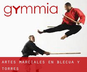 Artes marciales en Blecua y Torres