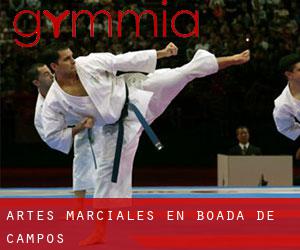 Artes marciales en Boada de Campos