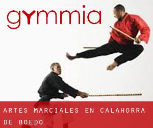 Artes marciales en Calahorra de Boedo