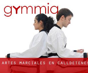 Artes marciales en Calldetenes