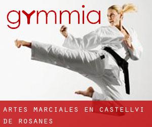 Artes marciales en Castellví de Rosanes