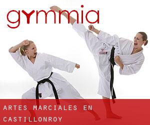 Artes marciales en Castillonroy