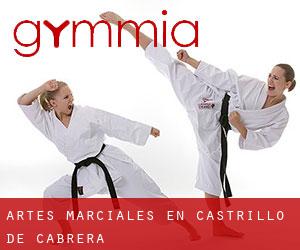 Artes marciales en Castrillo de Cabrera
