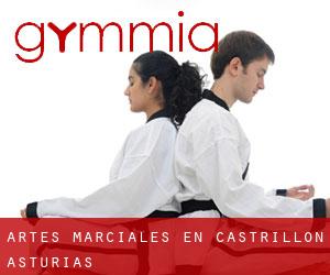 Artes marciales en Castrillón (Asturias)