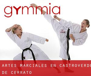 Artes marciales en Castroverde de Cerrato