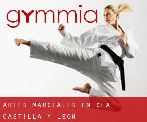 Artes marciales en Cea (Castilla y León)