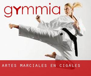 Artes marciales en Cigales