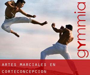 Artes marciales en Corteconcepción