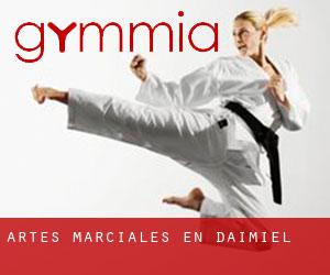 Artes marciales en Daimiel Artes marciales en Daimiel
