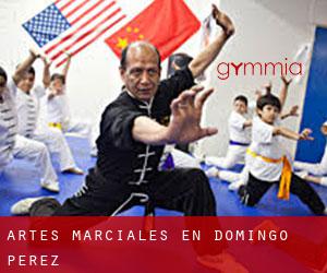Artes marciales en Domingo Pérez