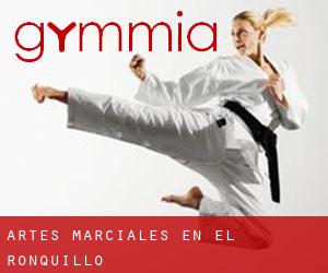 Artes marciales en El Ronquillo