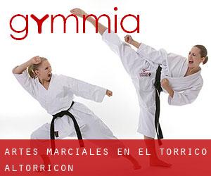 Artes marciales en el Torricó / Altorricon