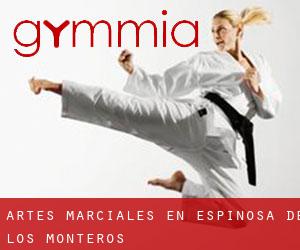 Artes marciales en Espinosa de los Monteros