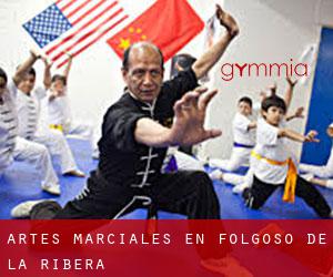 Artes marciales en Folgoso de la Ribera