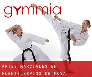 Artes marciales en Fuentelespino de Moya