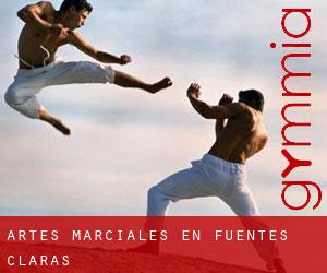Artes marciales en Fuentes Claras