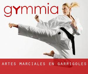 Artes marciales en Garrigoles