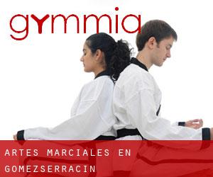 Artes marciales en Gomezserracín