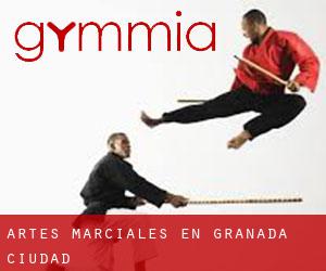 Artes marciales en Granada (Ciudad) Artes marciales en Granada (Ciudad)