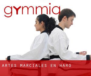 Artes marciales en Haro